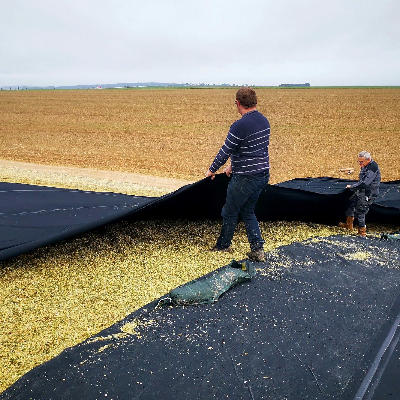 Silage being covered with EPDM liner.