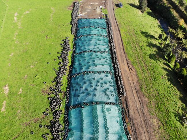 Maize / Silage pile covered with Shadecloth to protect from bird damage